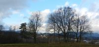 45 mit bis zu 10 grad zu warm bis mitte januar - haselbach